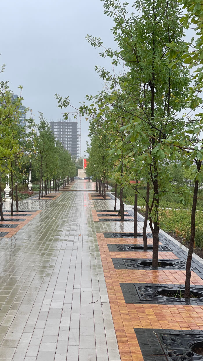 Приствольная решетка для дерева ZKING CRUST 1.2х1.2м Черная в Набережных Челнах фото