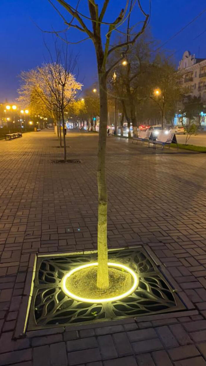 Приствольная решетка для дерева ZKING CRUST 1.2х1.2м Черная в Набережных Челнах фото